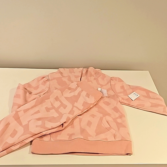 GAP toddler sweatshirt 4T and sweatpant 3T matching set - Picture 1 of 8